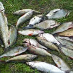 Рыбалка на озере Вельё